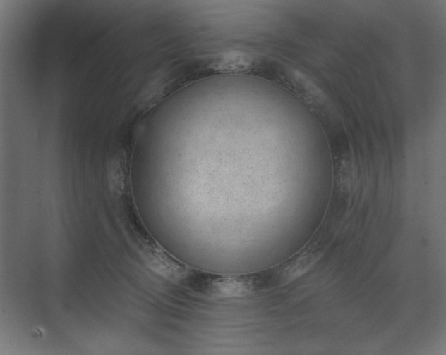 X0000074260370200608251232