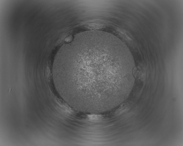 X0000074260371200608251232