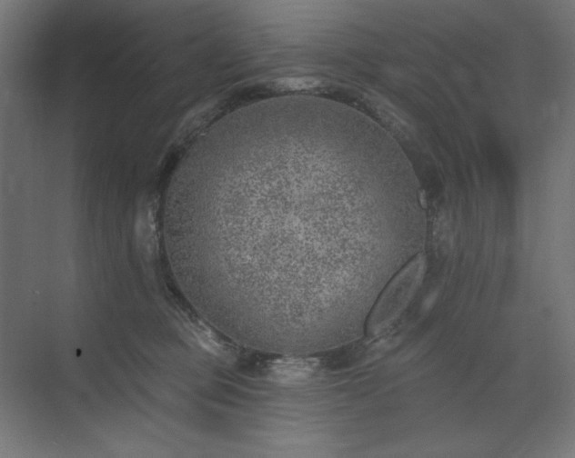 X0000074260373200608251232