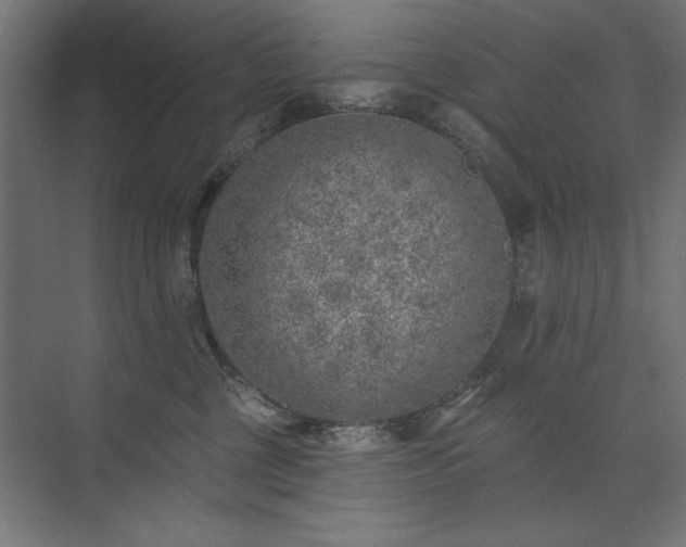 X0000074260377200608251232