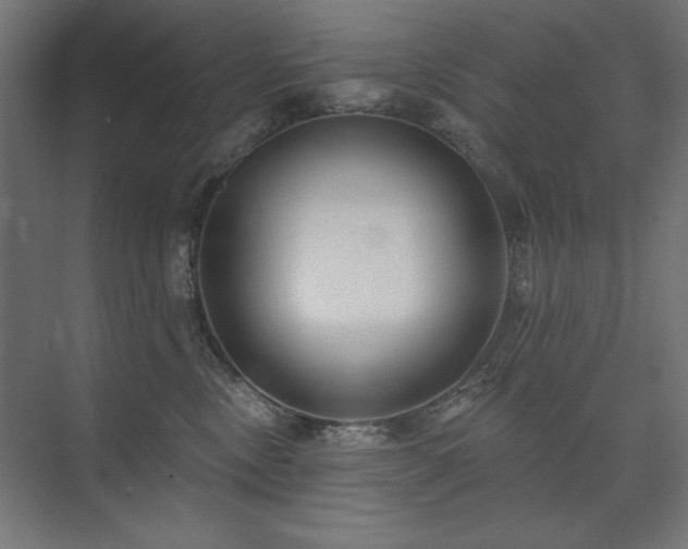 X0000074260378200608251232