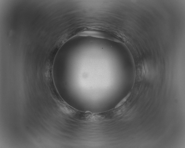 X0000074260379200608251232