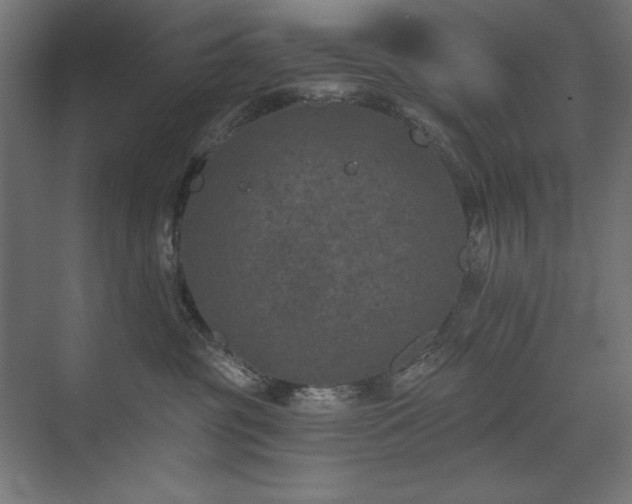 X0000074260381200608251232