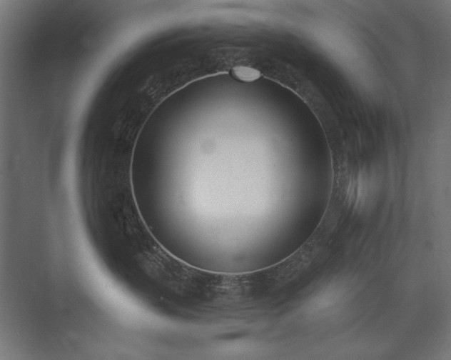 X0000074260383200608251232