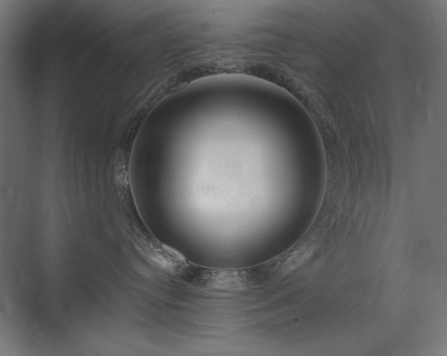 X0000074260384200608251232