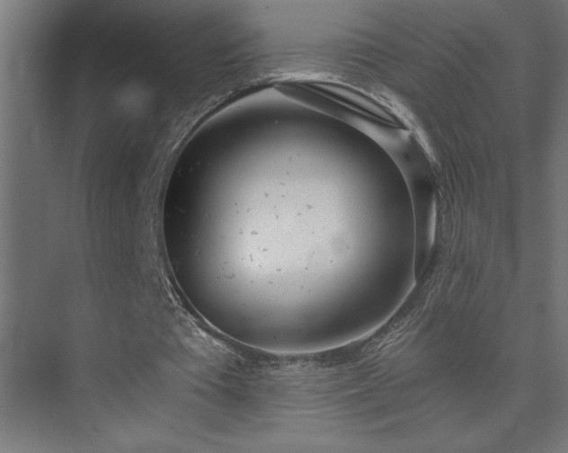 X0000074260385200608251232