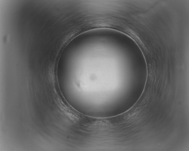 X0000074260386200608251232