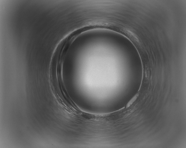 X0000074260388200608251232