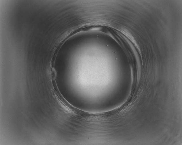 X0000074260389200608251232