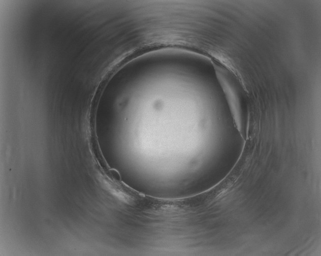 X0000074260390200608251232