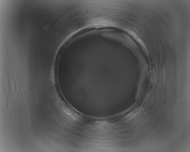 X0000074260391200608251231