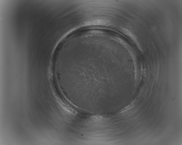 X0000074260392200608251231