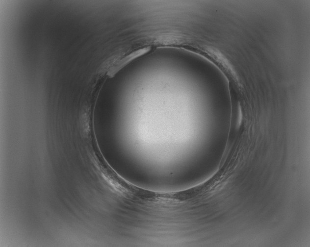 X0000074260393200608251231