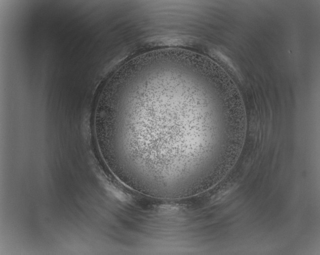 X0000074260394200608251231