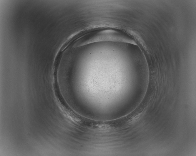 X0000074260395200608251231