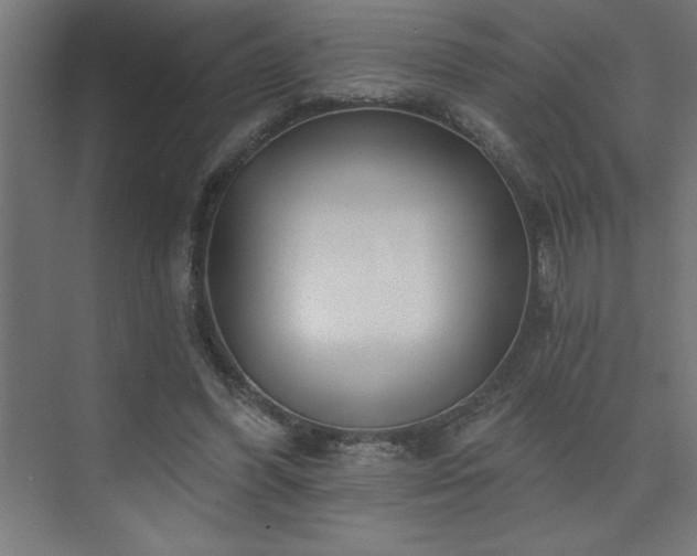 X0000074260396200608251231