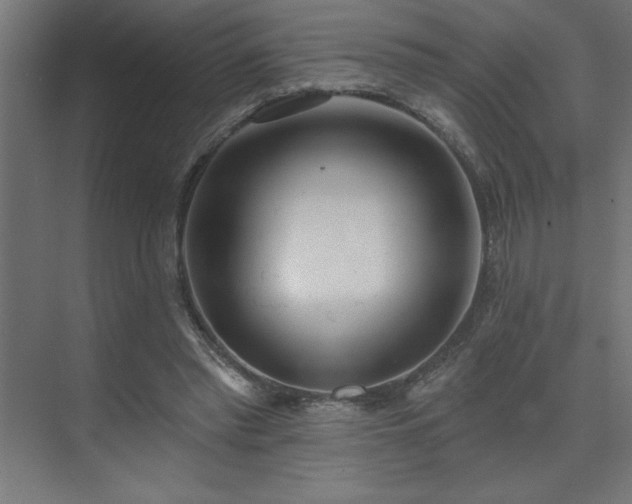 X0000074260397200608251231