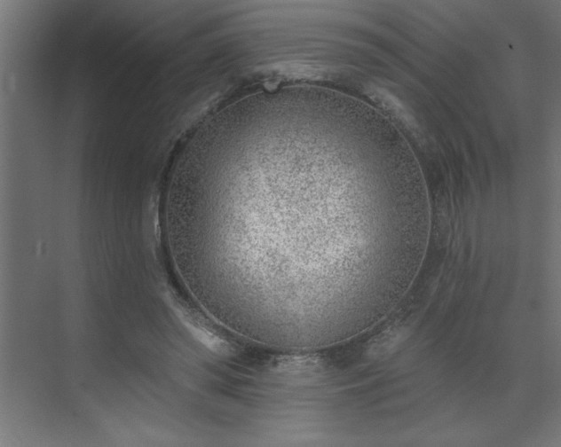 X0000074260398200608251231