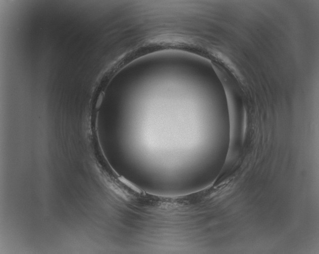 X0000074260399200608251231