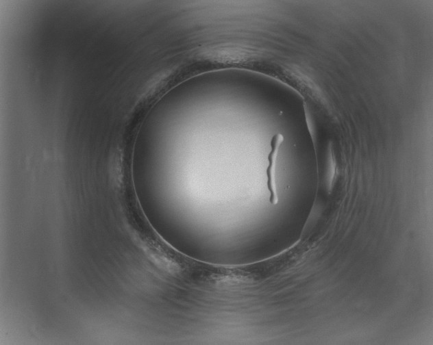 X0000074260400200608251231