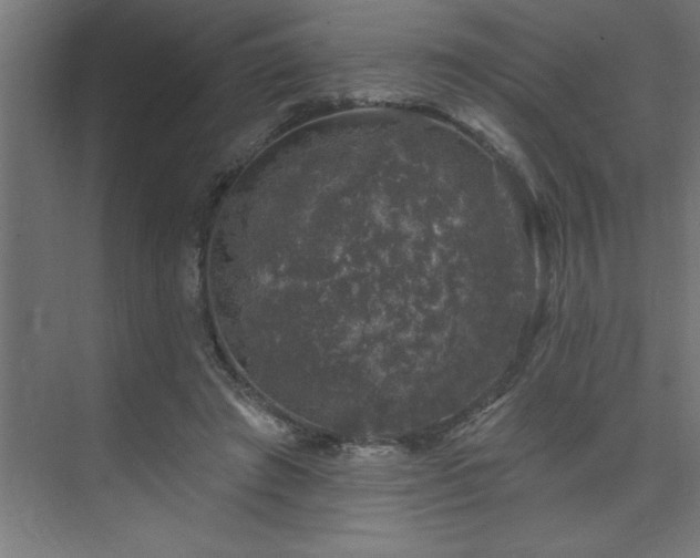 X0000074260401200608251231