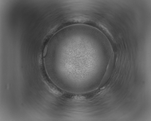 X0000074260403200608251231