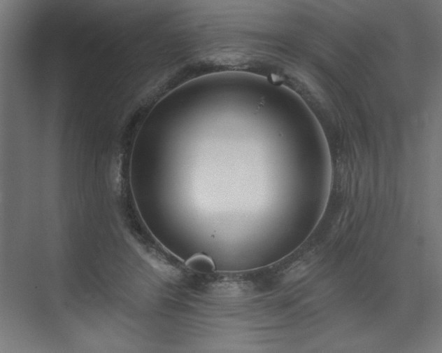 X0000074260404200608251231