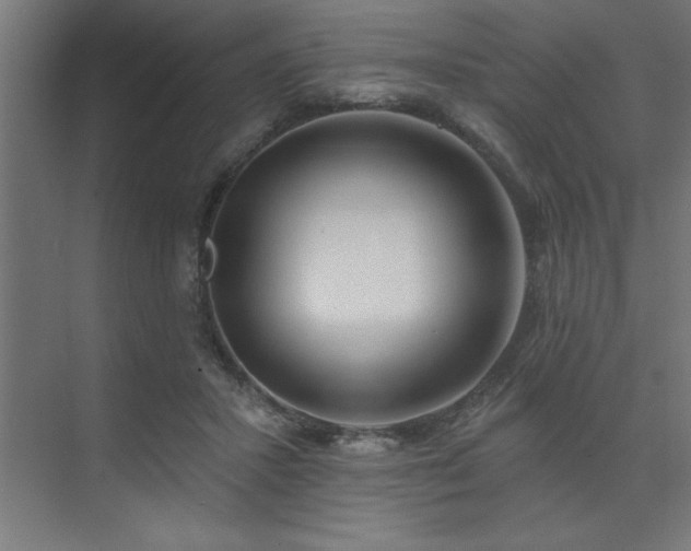 X0000074260407200608251231