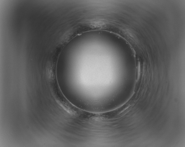 X0000074260408200608251231