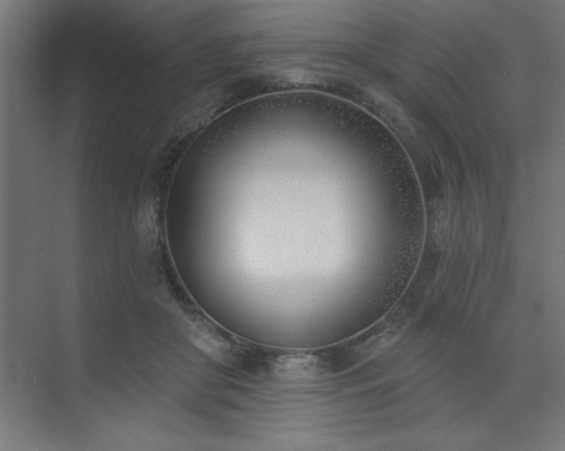 X0000074260410200608251231