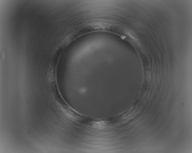 X0000074260411200608251231