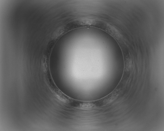 X0000074260414200608251231