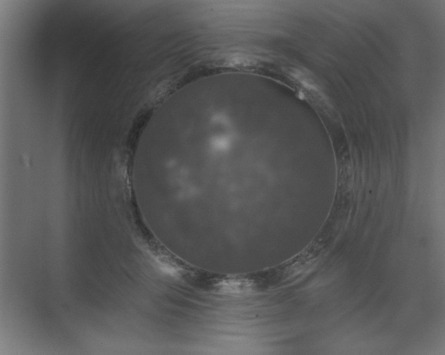 X0000074260415200608251231