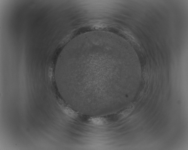 X0000074260417200608251231