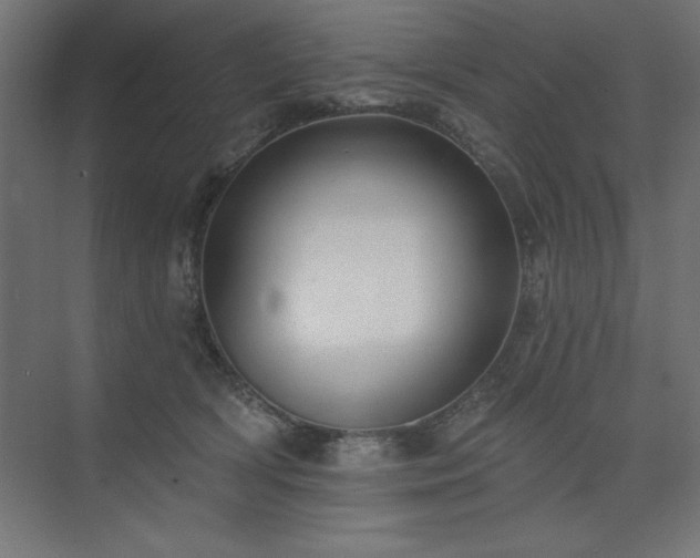 X0000074260418200608251231