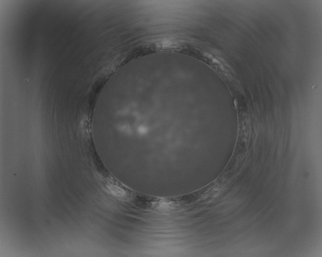 X0000074260419200608251231