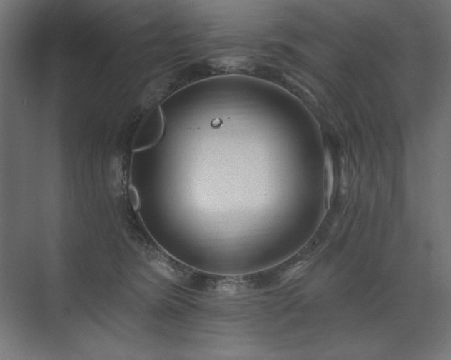 X0000074260420200608251231