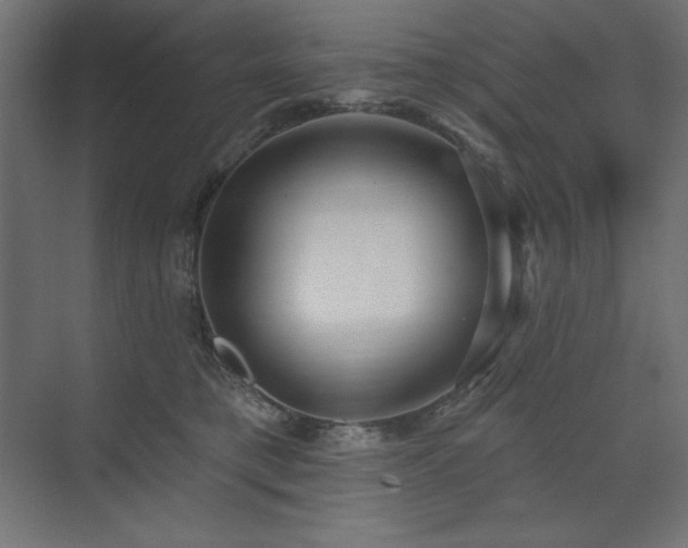 X0000074260421200608251231