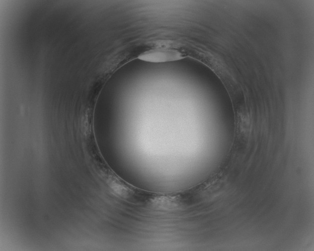 X0000074260422200608251231