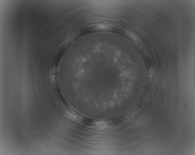 X0000074260423200608251231