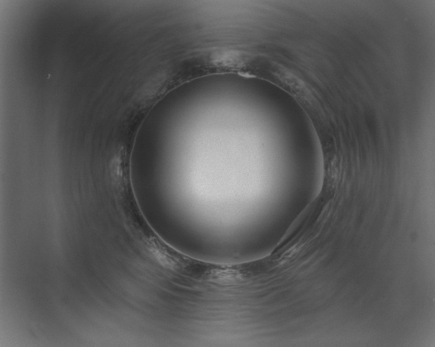 X0000074260424200608251231