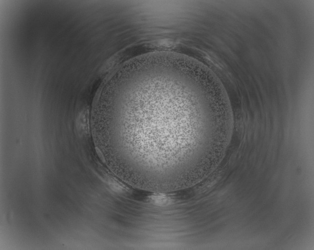 X0000074260425200608251231