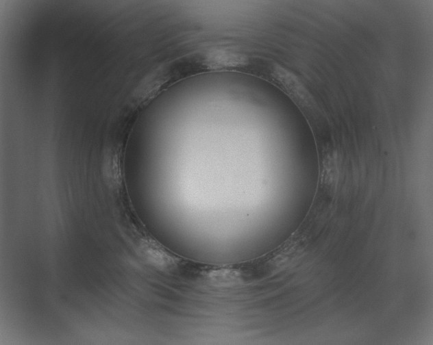 X0000074260426200608251231