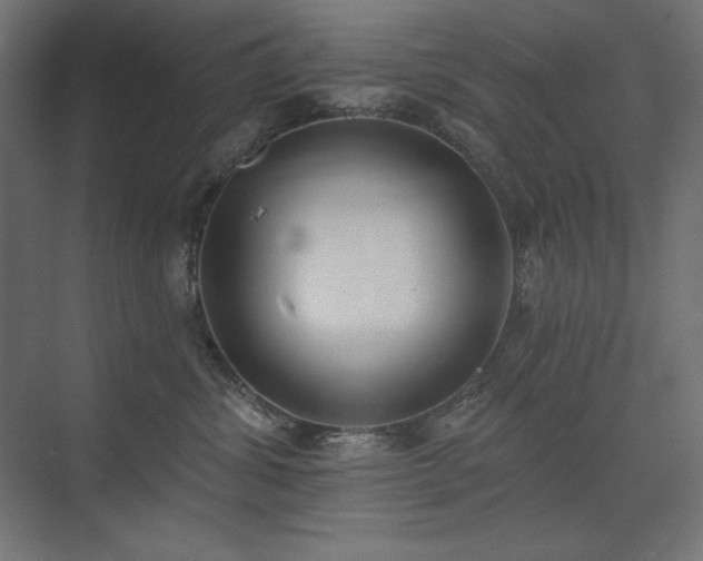 X0000074260428200608251231