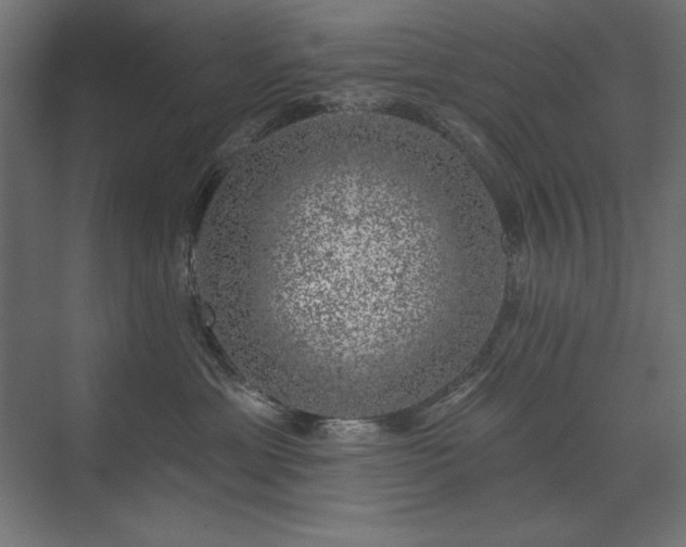 X0000074260429200608251231