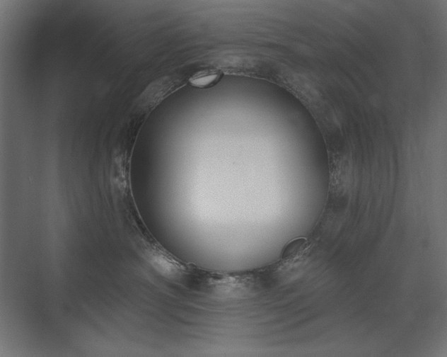 X0000074260430200608251231