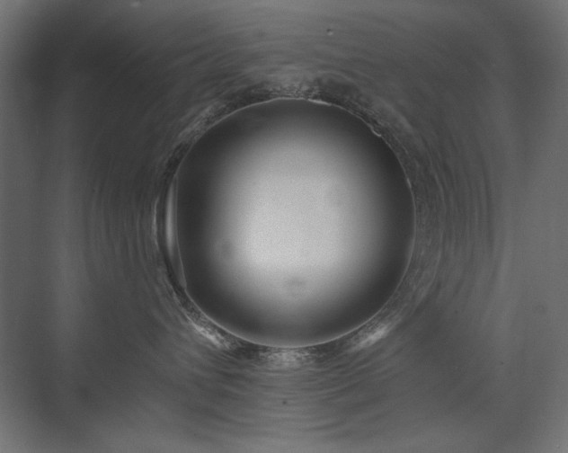 X0000074260432200608251231