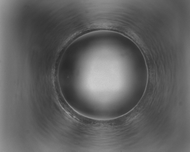 X0000074260434200608251230