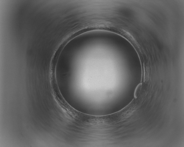 X0000074260435200608251230