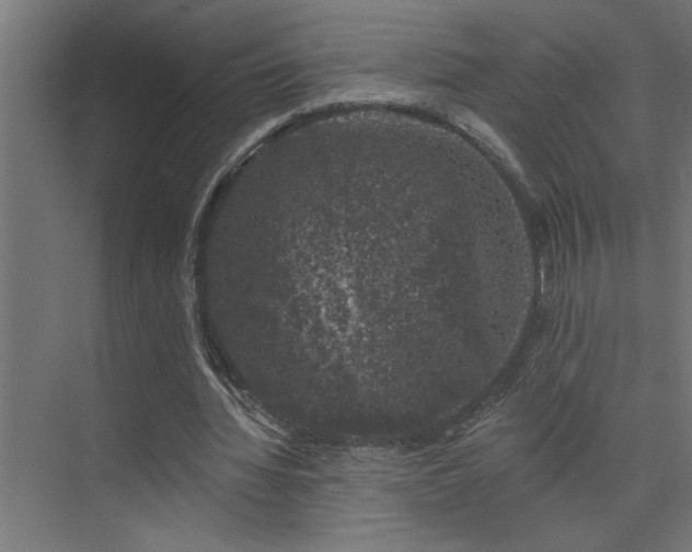 X0000074260436200608251230